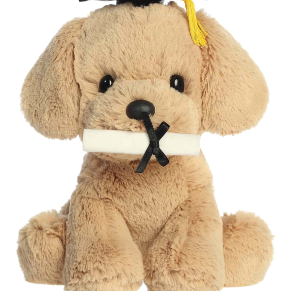 Grad Retriever Pup