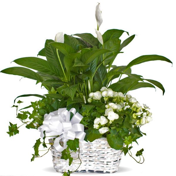 Peaceful Blooming Garden Basket