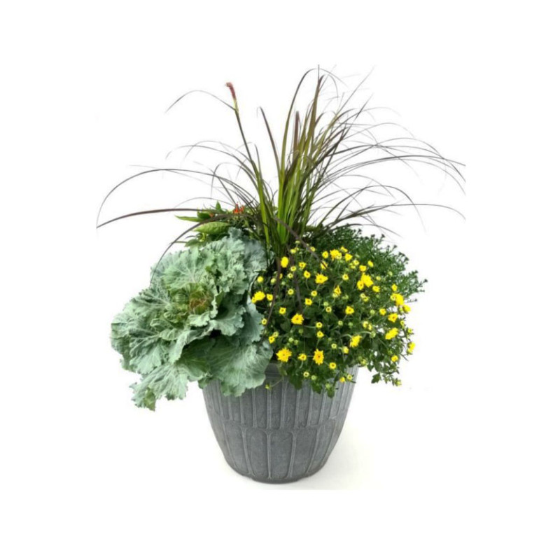 Beautiful Hello Fall Combo Pot - Same Day Delivery