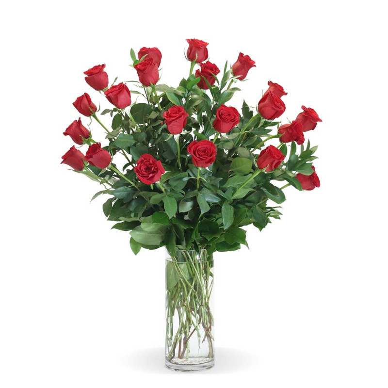 Two Dozen Roses Arranged in a Vase - Same Day Delivery
