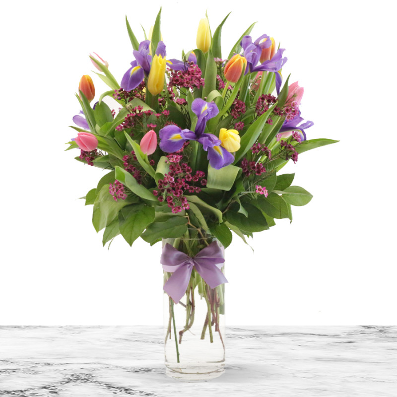 Spring In Your Step - Same Day Delivery