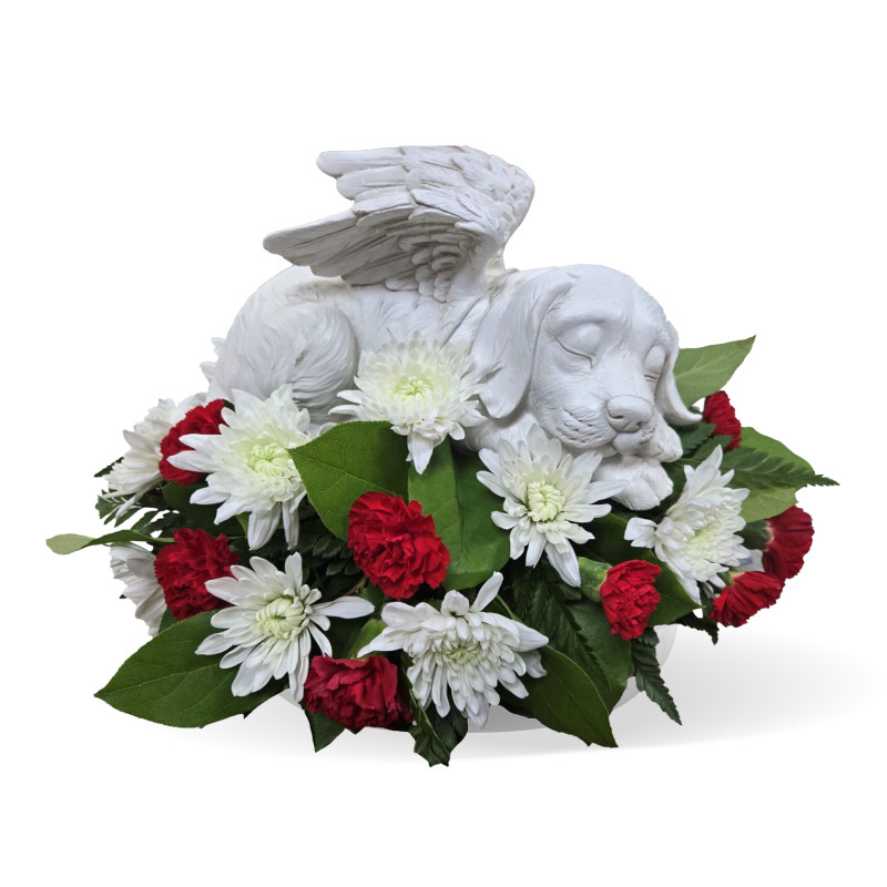 Sleeping Angel Dog with Wings - Same Day Delivery