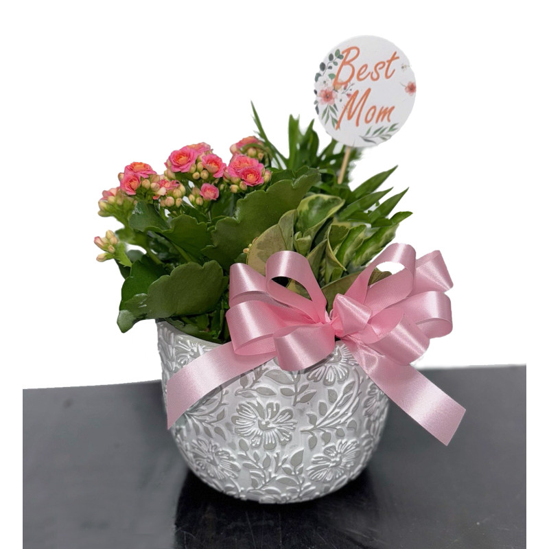 Best Mom Mixed Planter - Same Day Delivery