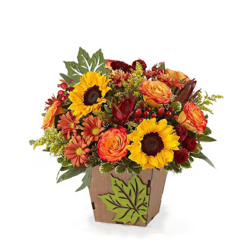 Box of Sunshine - Same Day Delivery