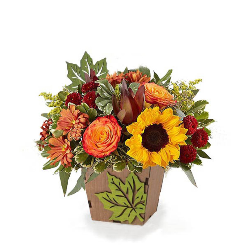 Box of Sunshine - Same Day Delivery