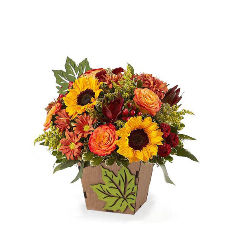 Box of Sunshine - Same Day Delivery