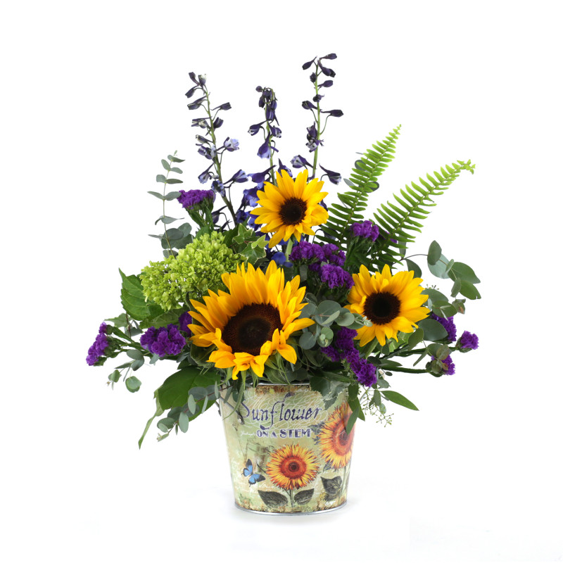 Good Day Sunshine - Same Day Delivery