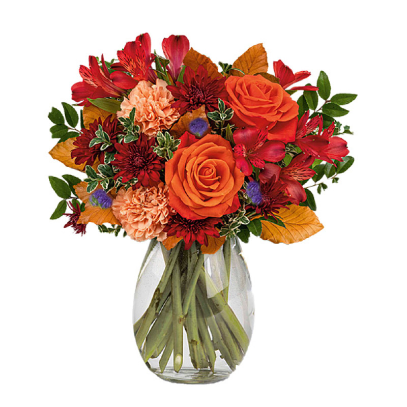 Charming Acorn - Same Day Delivery