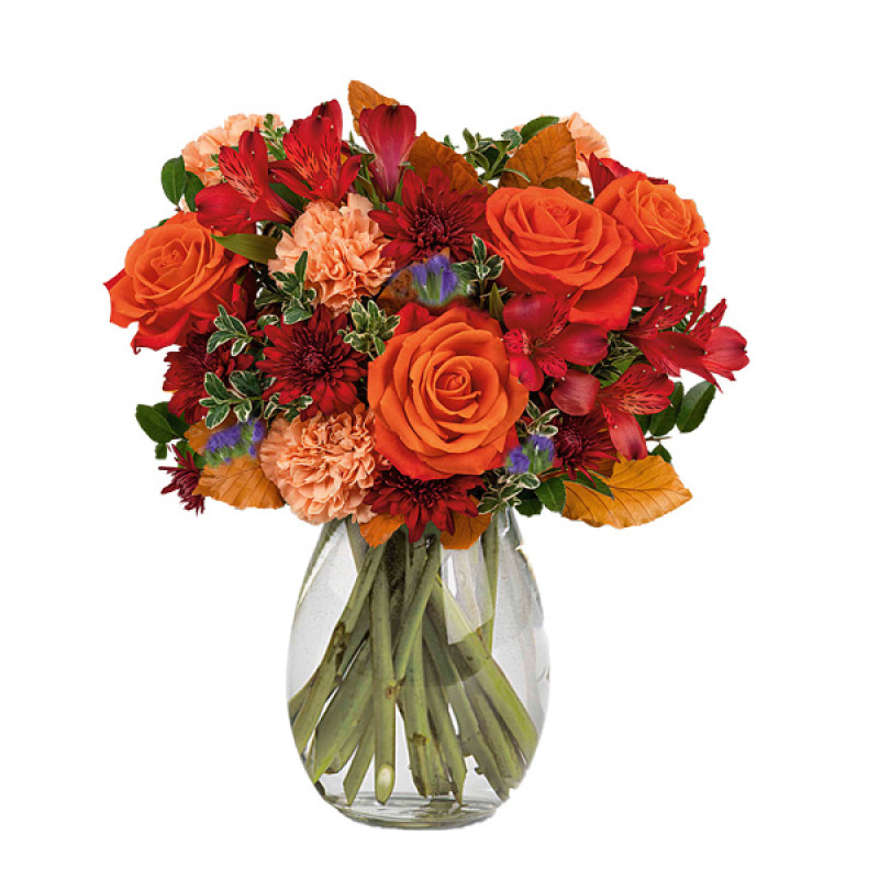 Charming Acorn - Same Day Delivery