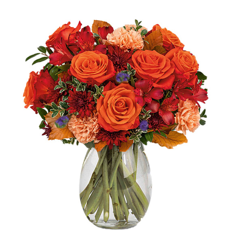 Charming Acorn - Same Day Delivery