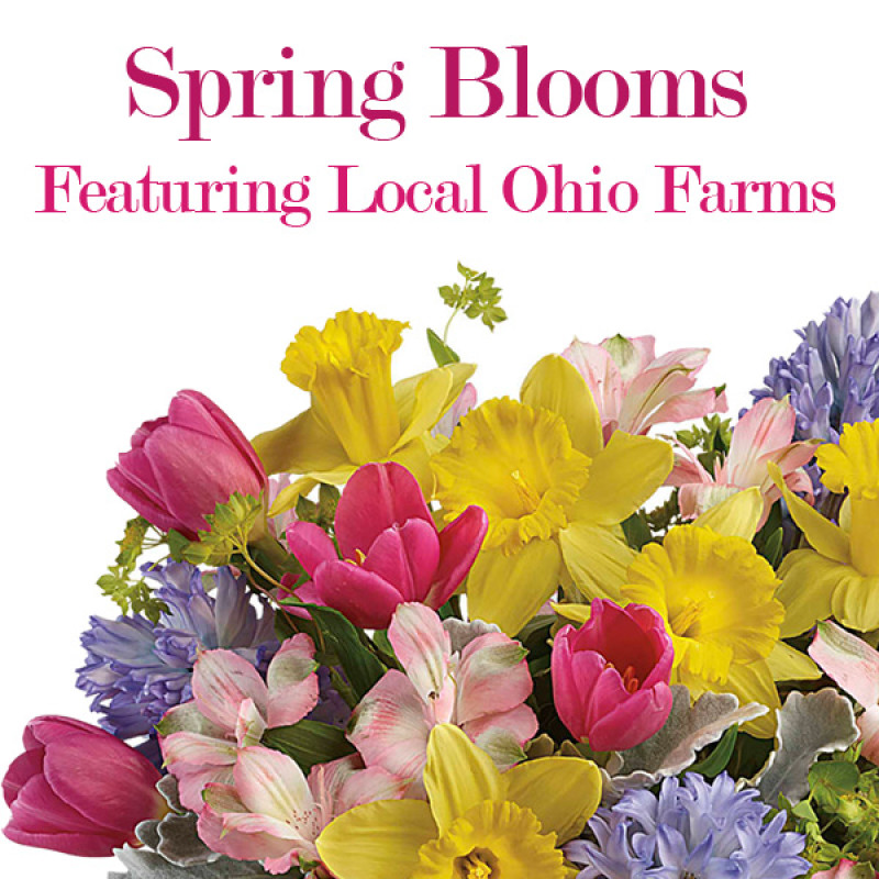 Designer Choice Spring Blooms - Same Day Delivery