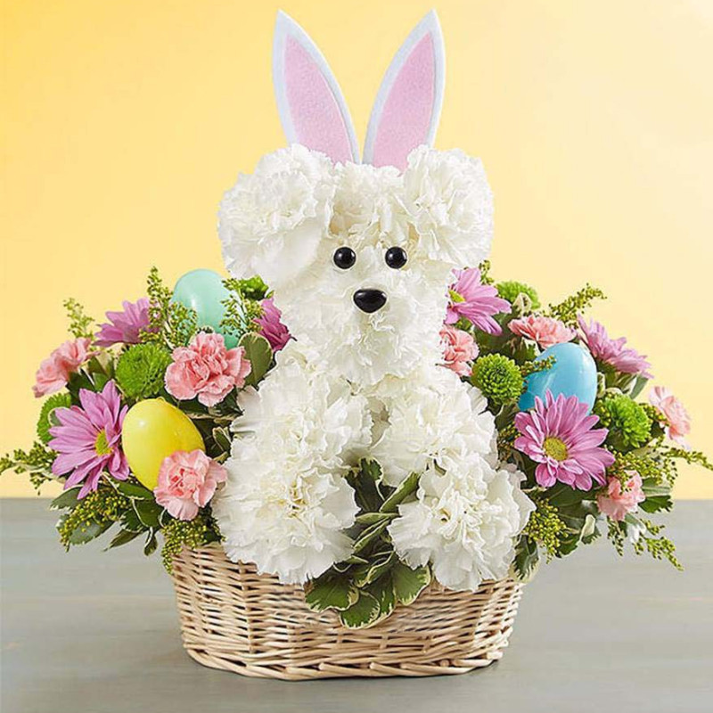 Doggone Bunny - Same Day Delivery