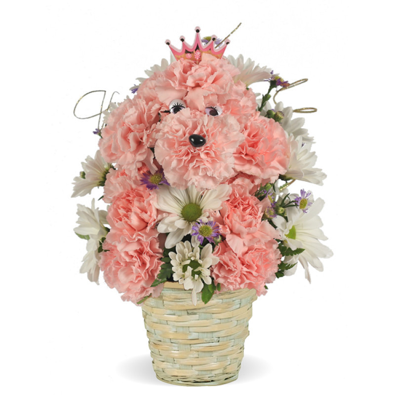 Doggone Princess - Same Day Delivery