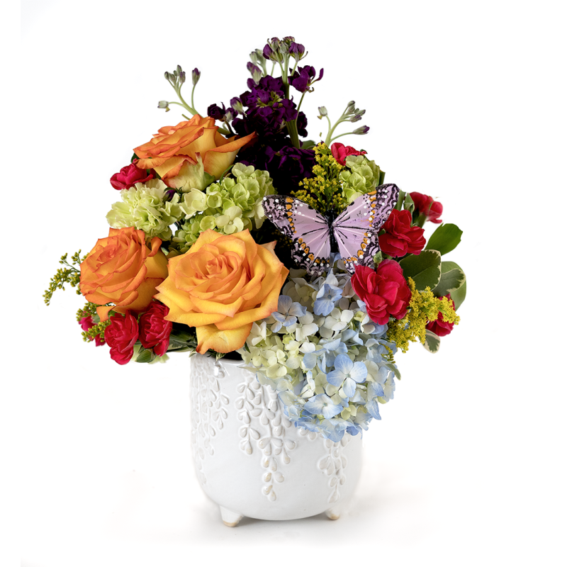 Fabulous Fiesta - Same Day Delivery