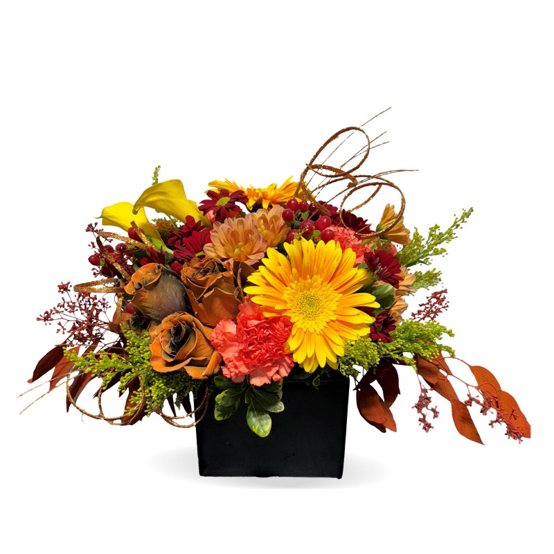 Sunset Shimmer - Same Day Delivery