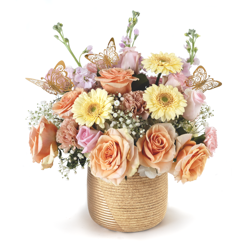 Gold Butterfly - Same Day Delivery