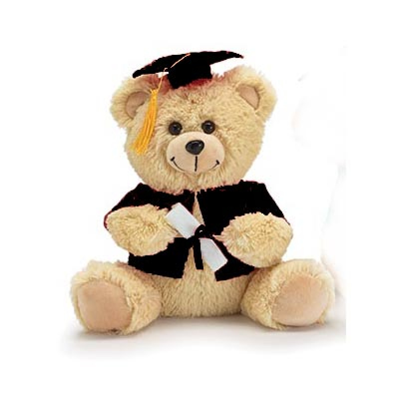 Graduation Plush Diploma Bear - Same Day Delivery