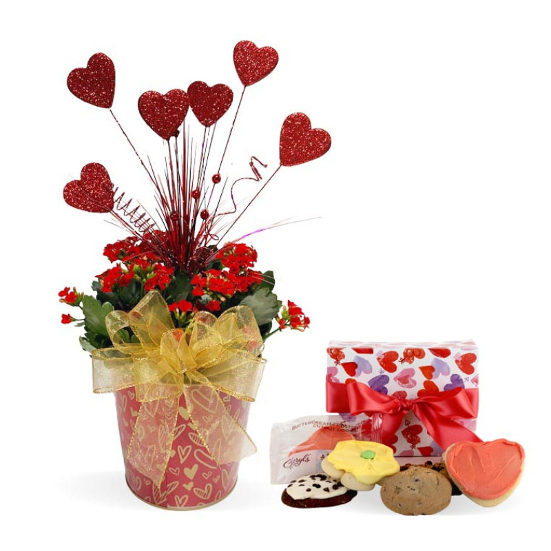 Heart of Gold Kalanchoe - Same Day Delivery