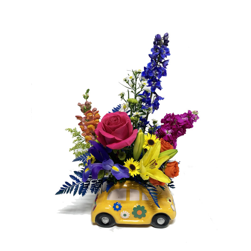 Love Bug Fun - Same Day Delivery