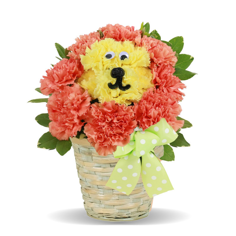 Leo Lion Get Well - Same Day Delivery