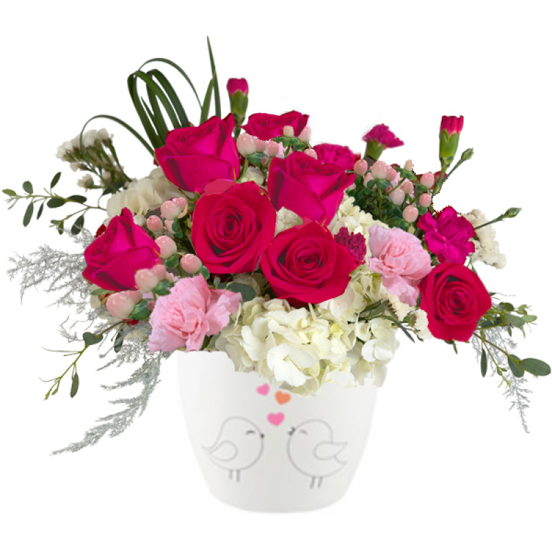 Love Birds - Same Day Delivery