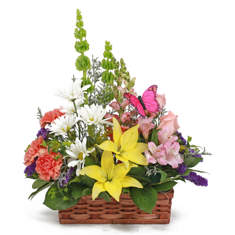 Gardens of Dublin - Same Day Delivery