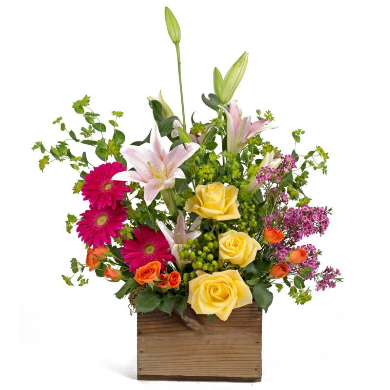 Flower Fields of Columbus - Same Day Delivery