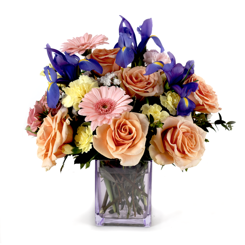 Rosy Blossoms - Same Day Delivery