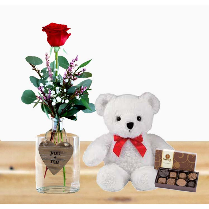 Single Rose, Chocolate and Bear Package - Same Day Delivery