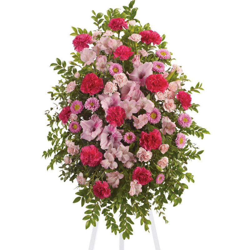 Pink Tribute Spray - Same Day Delivery