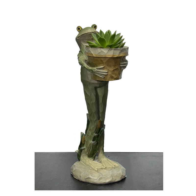 Tall Frog Holding a Succulent Plant - Same Day Delivery