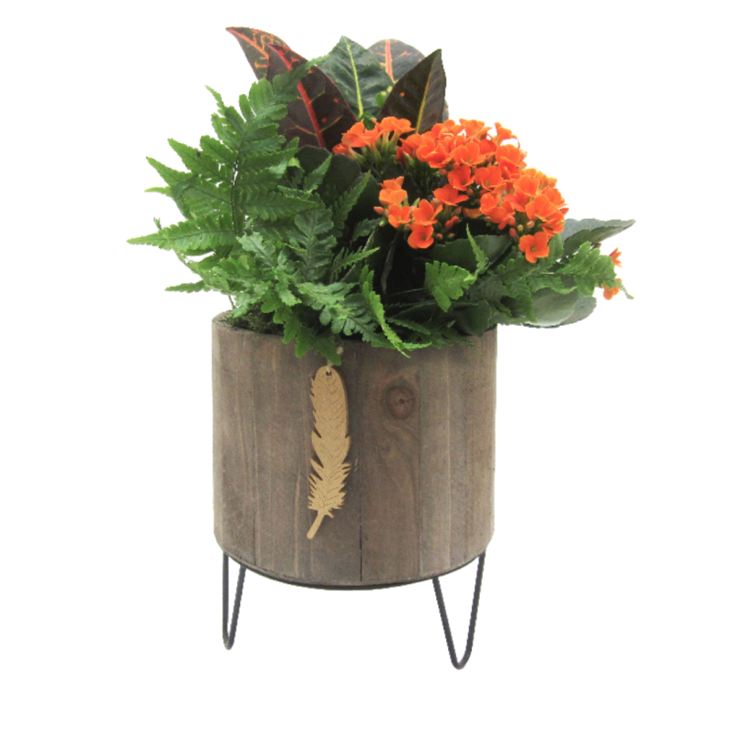 Modern Fall Timber Planter - Same Day Delivery