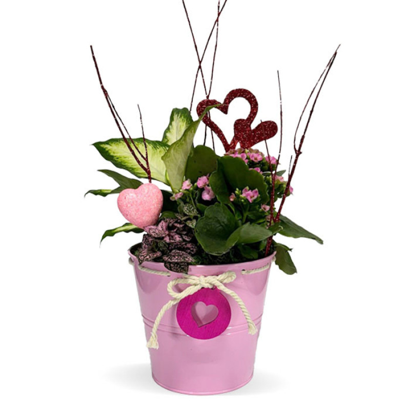 Valentine Mixer - Same Day Delivery