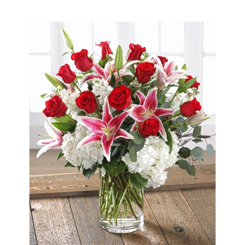 Wild About You - Same Day Delivery