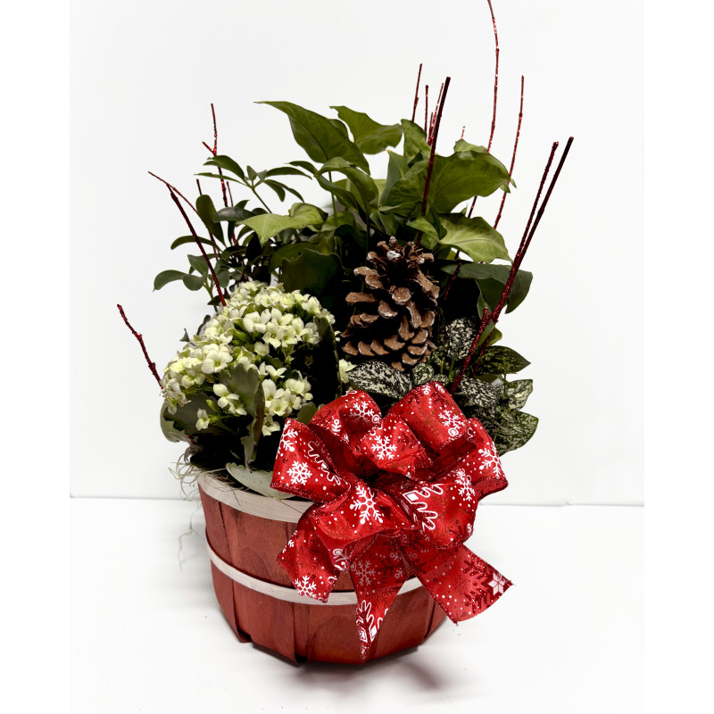 Red Christmas Garden - Same Day Delivery