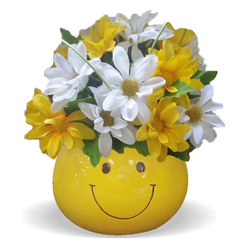 All Smiles Silk - Same Day Delivery