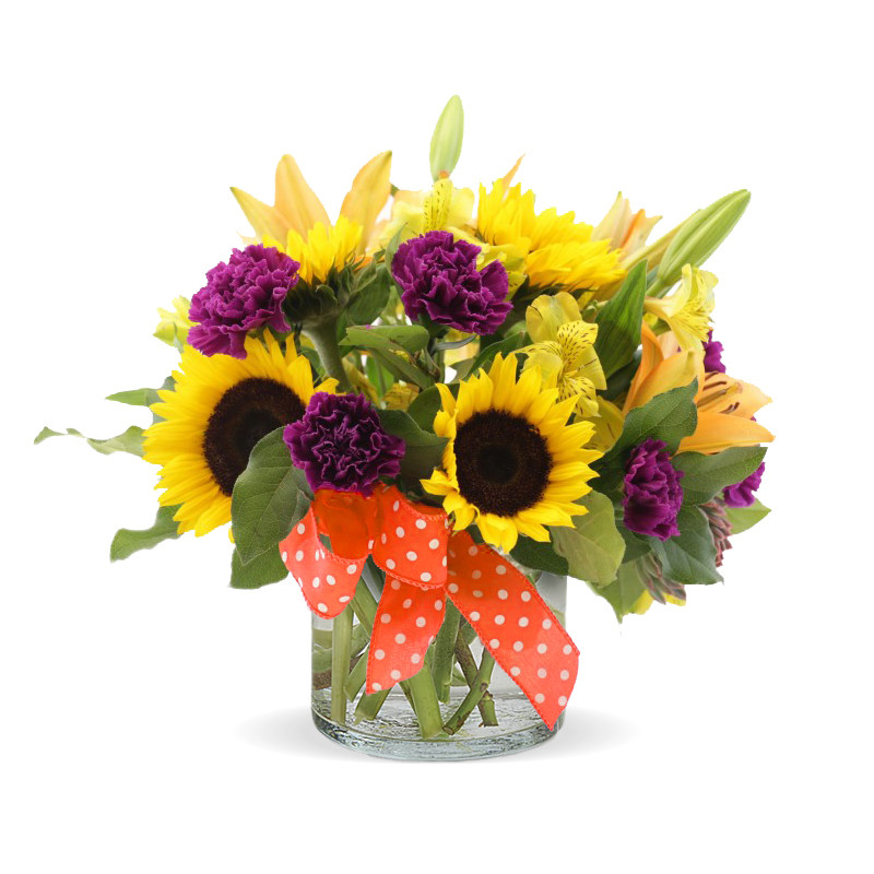 Yellow Daze - Same Day Delivery