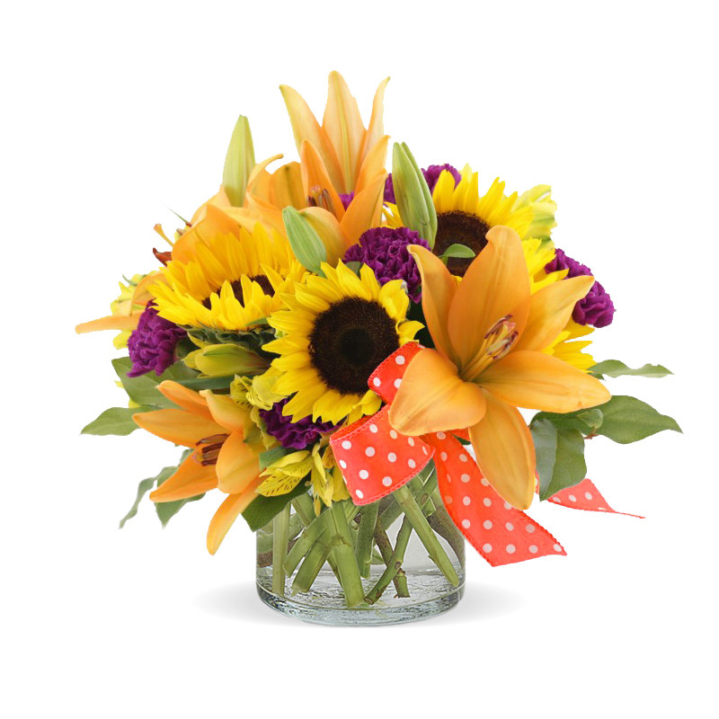 Yellow Daze - Same Day Delivery