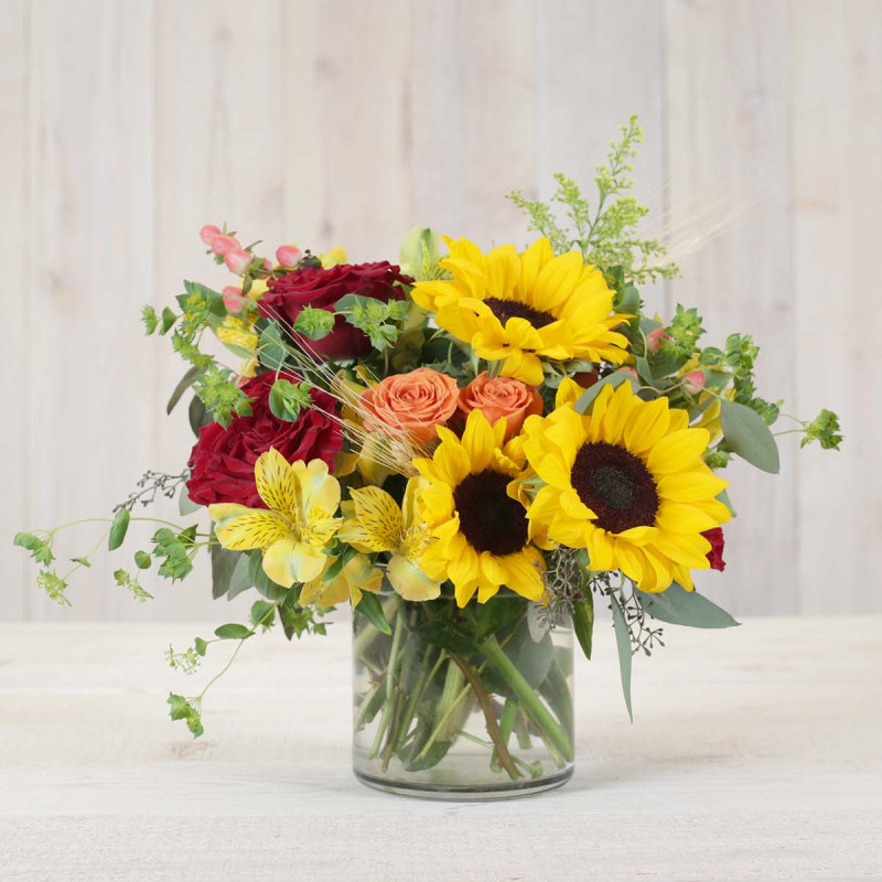 Autumn Morning - Same Day Delivery