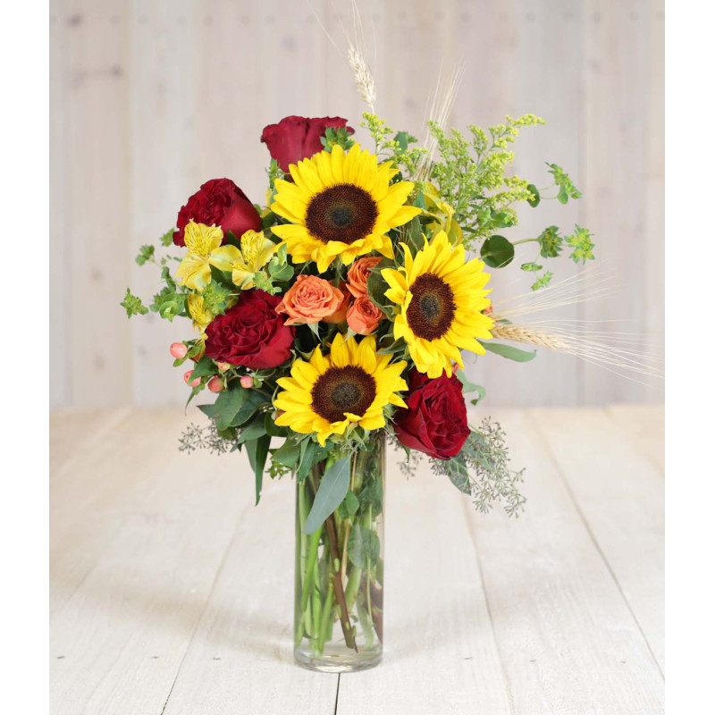 Autumn Morning - Same Day Delivery