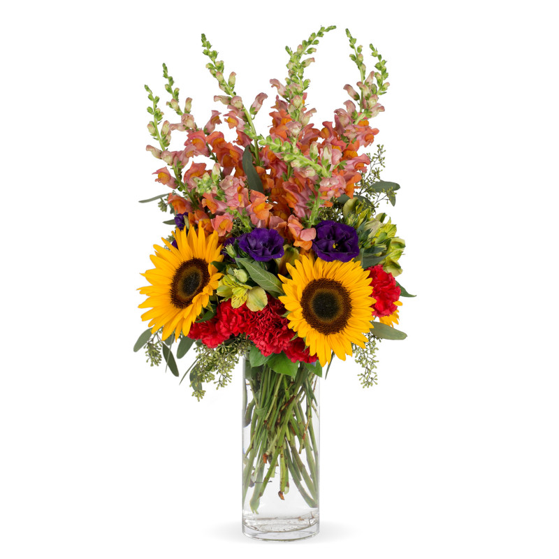 Sunflower Sensation - Same Day Delivery