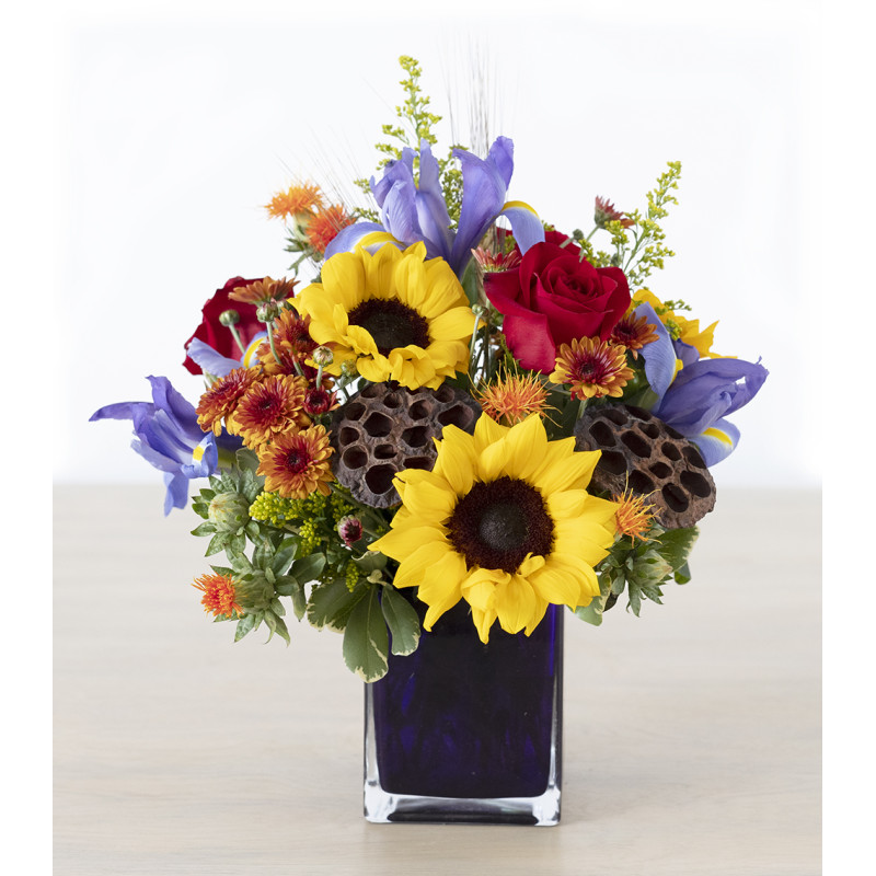 Colorful Lotus Pods - Same Day Delivery