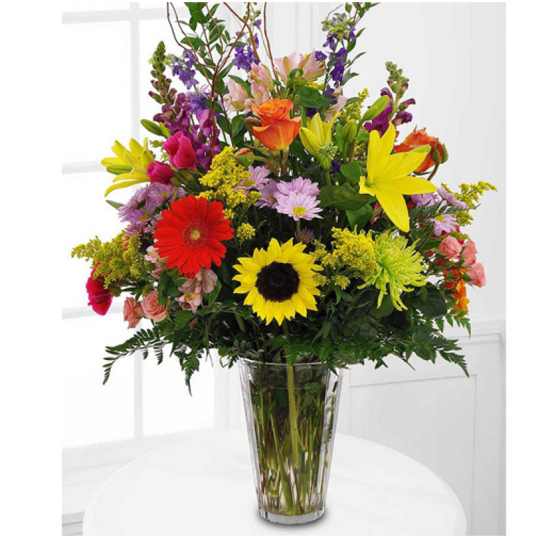 Splendid Columbus Sunshine - Same Day Delivery