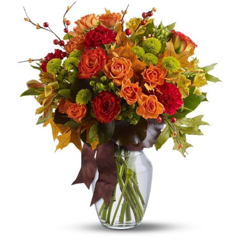 Clintonville Wonder - Same Day Delivery