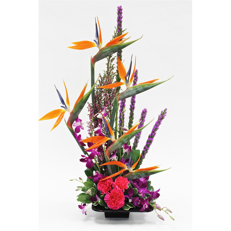 Tropical Paradise - Same Day Delivery