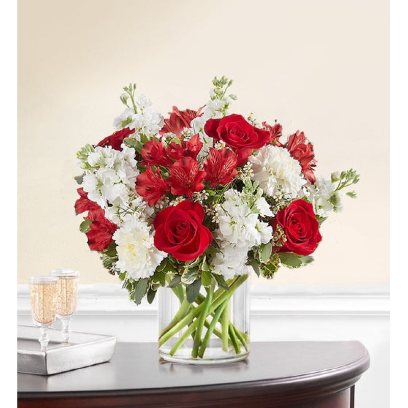 Bold Romance - Same Day Delivery