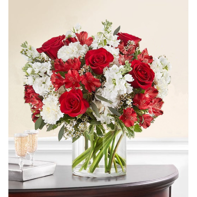 Bold Romance - Same Day Delivery