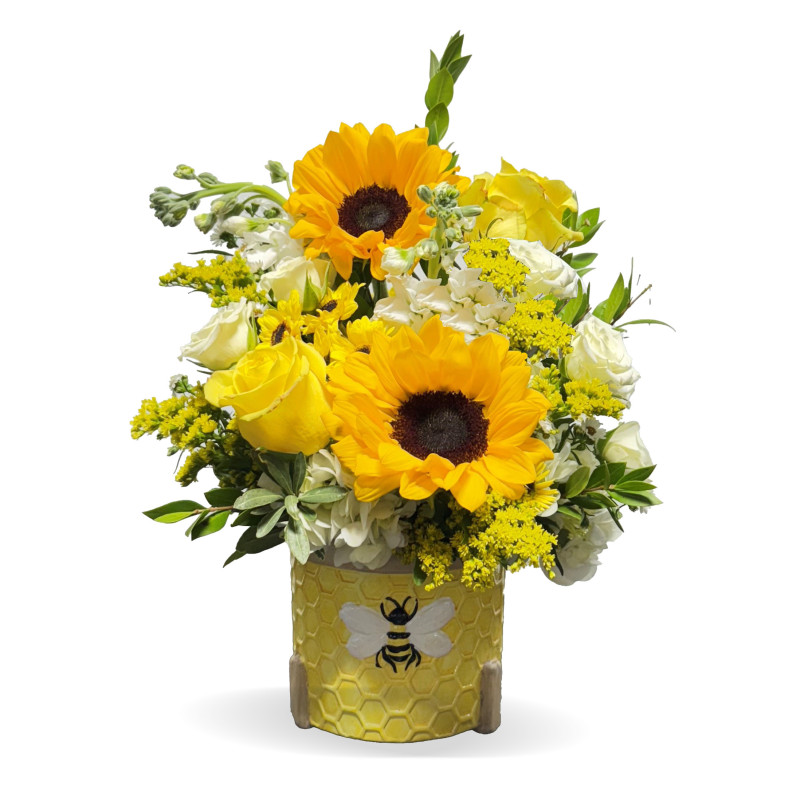 Honeycomb Bee - Same Day Delivery