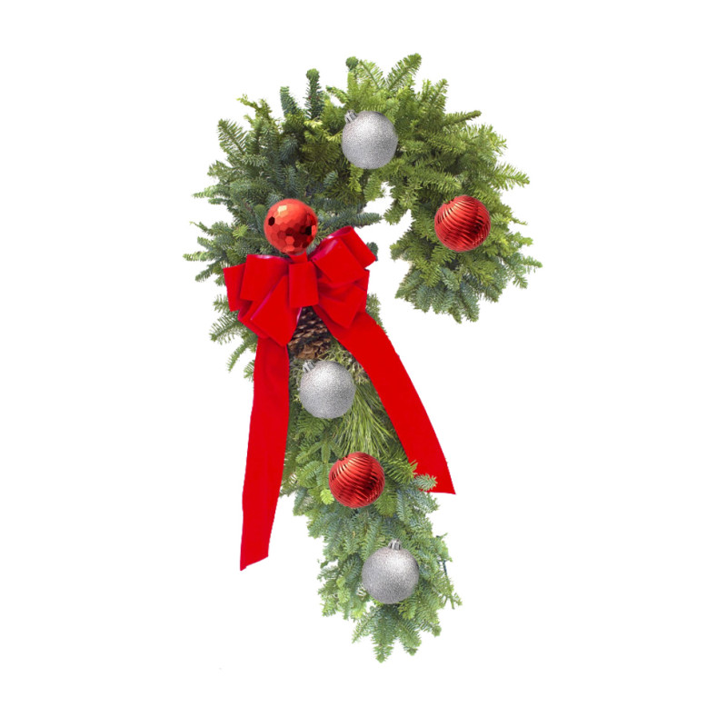 Fresh Wintery Candy Cane - Same Day Delivery