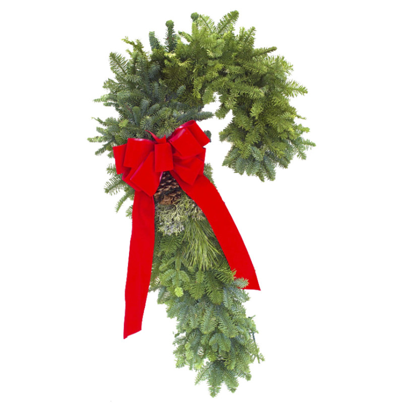 Fresh Wintery Candy Cane - Same Day Delivery